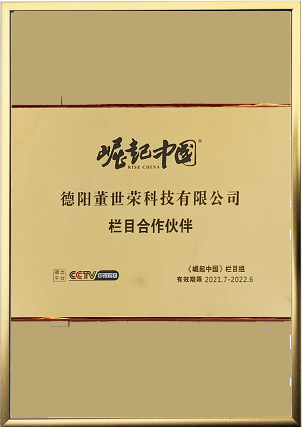 崛起中國合作夥伴